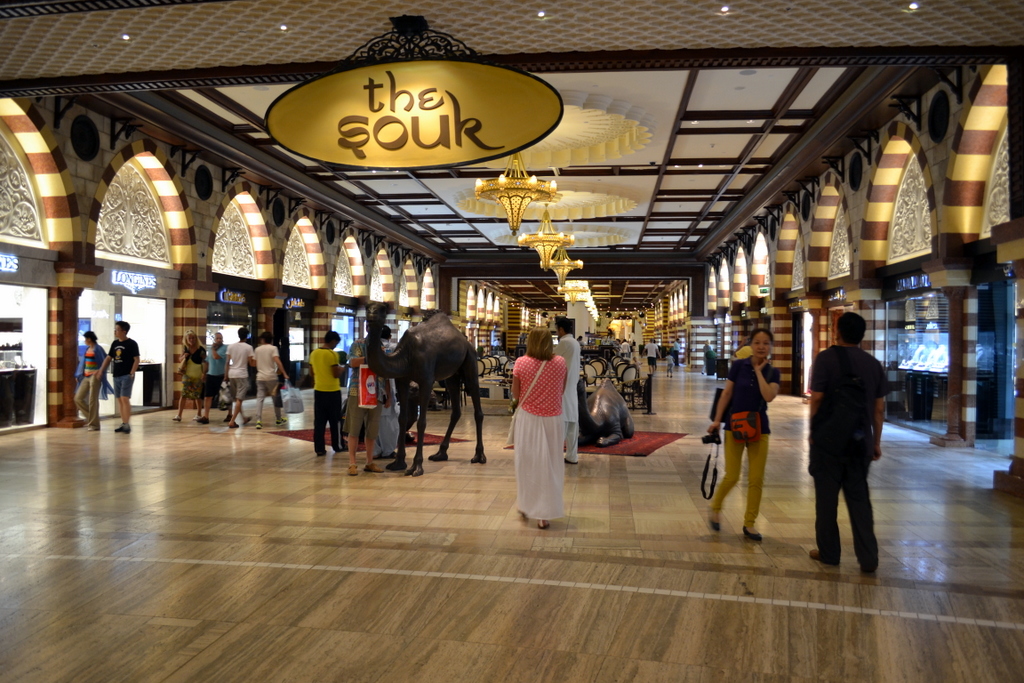 The Dubai Mall (4)